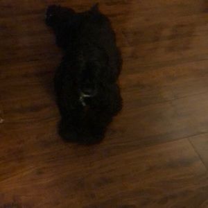 Meet your Posher, Katrina